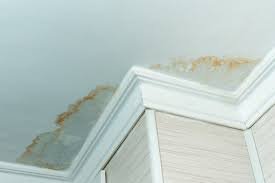 Professional Slab Leak Detection in Arlington County VA