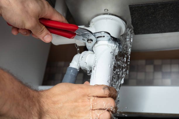 Tips for Choosing Dependable Leaks Repair Pros in Brinkley