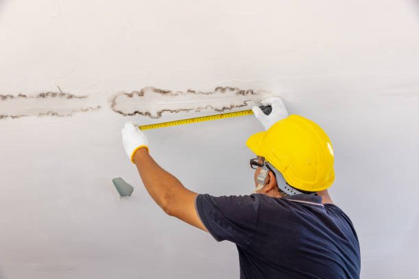 Slash Water Bills via Best Leak Detection Services | Brinkley