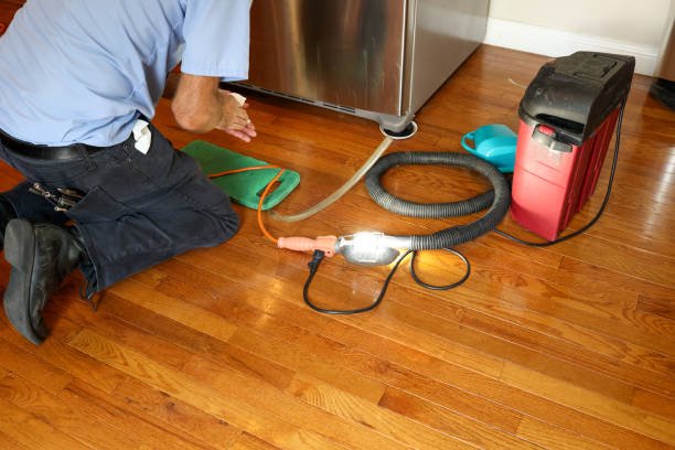 Slash Repair Costs with Best Leak Detection for Brinkley